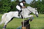 Steeplechase