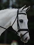 So8ths-5-4-12-Dressage-1165-DCMcBroom-GroundForce-DDeRosaPhoto - Copy