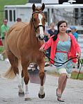 So8ths-5-6-12-SJDay-4267-SarahZimmer-MardiGras-BN3D-DDeRosaPhoto