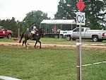 Trae Meder-83-20