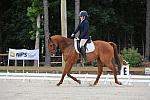 So8ths-5-4-12-Dressage-0396-KerryTracey-BourbonGingerbear-DDeRosaPhoto