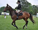 So8ths-5-6-12-SJDay-4409-GwenKriskie-Barney-DDeRosaPhoto