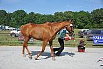 So8ths-5-3-12-1stJog-2192-DDeRosaPhoto