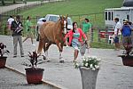 So8ths-5-6-12-SJDay-4266-SarahZimmer-MardiGras-BN3D-DDeRosaPhoto