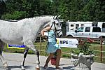 So8ths-5-3-12-1stJog-2077-MicheleLobsinger-GlenlarasPride-N3D-DDeRosaPhoto