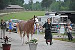 So8ths-5-6-12-SJDay-4226-BrianaTimmerman-ASplashofHenry-N3D-DDeRosaPhoto