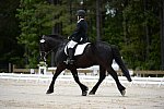 So8ths-5-3-13-Dressage-5385-LauraWellbaum-OhSullivan-DDeRosaPhoto