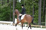 So8ths-5-3-13-Dressage-5649-CatiePannill-KokoaKat-DDeRosaPhoto