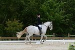 So8ths-5-3-13-Dressage-4881-LaurieWettstone-Moonstruck-DDeRosaPhoto
