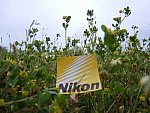 Kaitlyn Ferrell-8-So8ths-5-3-13-NikonPhotoContest-0020