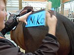 Rachel Hay-5-So8ths-5-3-13-NikonPhotoContest-0175