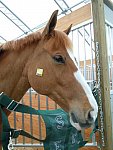 Sarah Zimmer-2-So8ths-5-3-13-NikonPhotoContest-0014