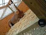 Taylor Pence-1-So8ths-5-3-13-NikonPhotoContest-0007