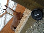 Taylor Pence-1-So8ths-5-3-13-NikonPhotoContest-0009