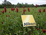 Taylor Pence-1-So8ths-5-3-13-NikonPhotoContest-0012