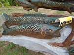Taylor Pence-1-So8ths-5-3-13-NikonPhotoContest-0016