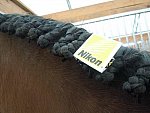2nd-13-So8ths-5-3-13-NikonPhotoContest-0267