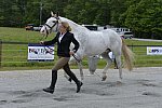 So8ths-5-5-13-SJ-Day-8471-DDeRosaPhoto
