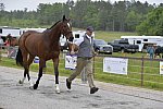 So8ths-5-5-13-SJ-Day-8600-DDeRosaPhoto