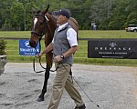 So8ths-5-5-13-SJ-Day-8614-DDeRosaPhoto