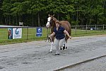 So8ths-5-5-13-SJ-Day-8851-DDeRosaPhoto
