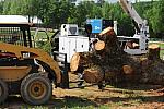 So8ths-4-25-11-0140-DDeRosaPhoto.JPG