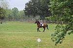 So8ths-4-26-11-0424-DDeRosaPhoto.JPG
