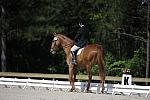 So8ths-11-29-11-DR2-071-DDeRosaPhoto.JPG
