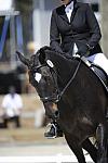 So8ths-11-29-11-DR2-480-DDeRosaPhoto.JPG