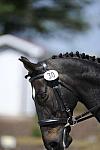 So8ths-11-29-11-DR2-485-DDeRosaPhoto.JPG