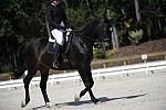 So8ths-11-29-11-DR2-488-DDeRosaPhoto.JPG