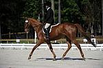 So8ths-4-28-11-DR-1713-DDeRosaPhoto.JPG