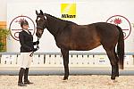 So8ths-4-29-11-1837-DDeRosaPhoto.JPG