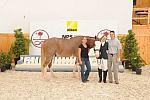 So8ths-4-29-11-1892-DDeRosaPhoto.JPG