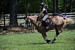 So8ths-4-29-11-2521-DDeRosaPhoto.JPG
