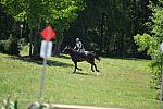 So8ths-4-30-11-5013-JimBaker-Wings-DDeRosaPhoto.JPG