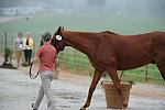 So8ths-5-1-11-5470-DDeRosaPhoto.JPG