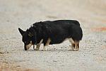 So8ths-5-1-11-5621-DDeRosaPhoto.JPG