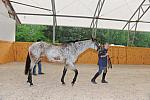 So8ths-4-28-11-0752-DDeRosaPhoto.JPG