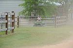 So8ths-4-26-11-0478-DDeRosaPhoto.JPG