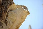 So8ths-4-29-11-2498-DDeRosaPhoto.JPG