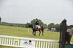 So8ths-5-1-11-6342-JimBaker-Wings-DDeRosaPhoto.JPG