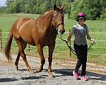 Inspection-So8ths-4-28-11-1135-DDeRosaPhoto.JPG
