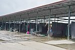 Spruce-Meadows-9-3-13-5234-DDeRosaPhoto