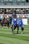 Spruce-Meadows2-9-4-13-2659-DDeRosaPhoto
