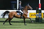 Spruce-Meadows-9-4-13-6844-BenMaher-Urico-GBR-DDeRosaPhoto