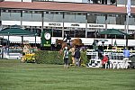 Spruce-Meadows-9-8-13-2572-PieterDevos-Candy-BEL-DDeRosaPhoto