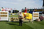 Spruce-Meadows2-9-5-13-3058-PenelopeLeprevost-DameBlanche-FRA-DDeRosaPhoto