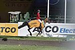 Spruce-9-11-14-CANA-4842-DDeRosaPhoto