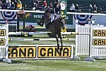 Spruce-9-11-14-CANA-3475-CedricAngot-RubisDePreuilly-FRA-DDeRosaPhoto